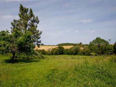 Picture 39